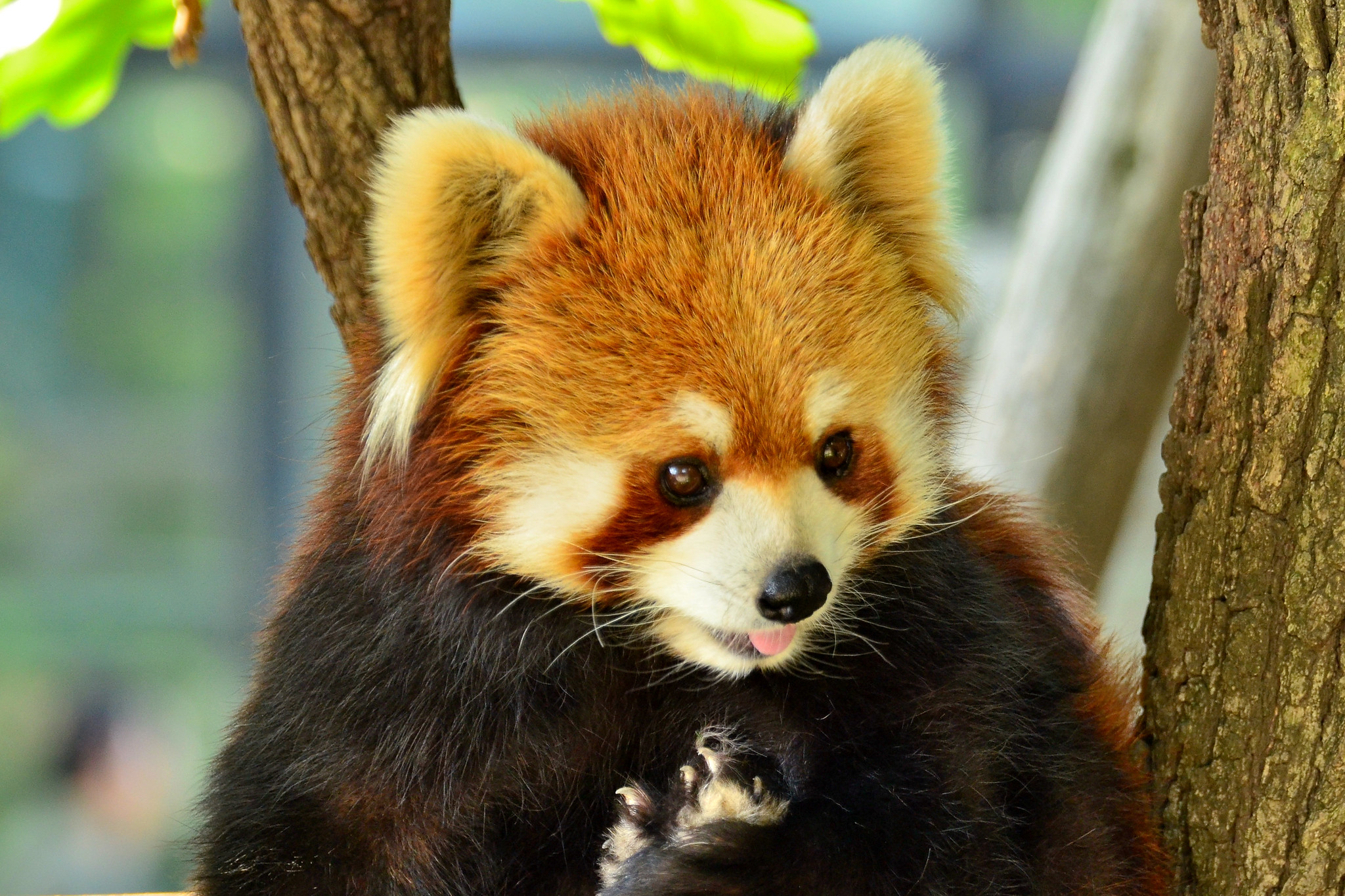 画像を含む投稿サンプル